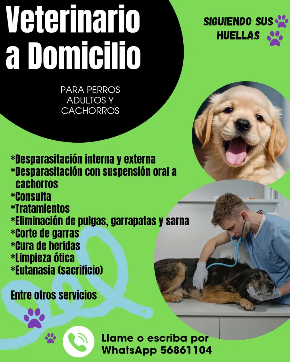 Portada de Veterinario a Domicilio para Perros Adultos y Cachorros