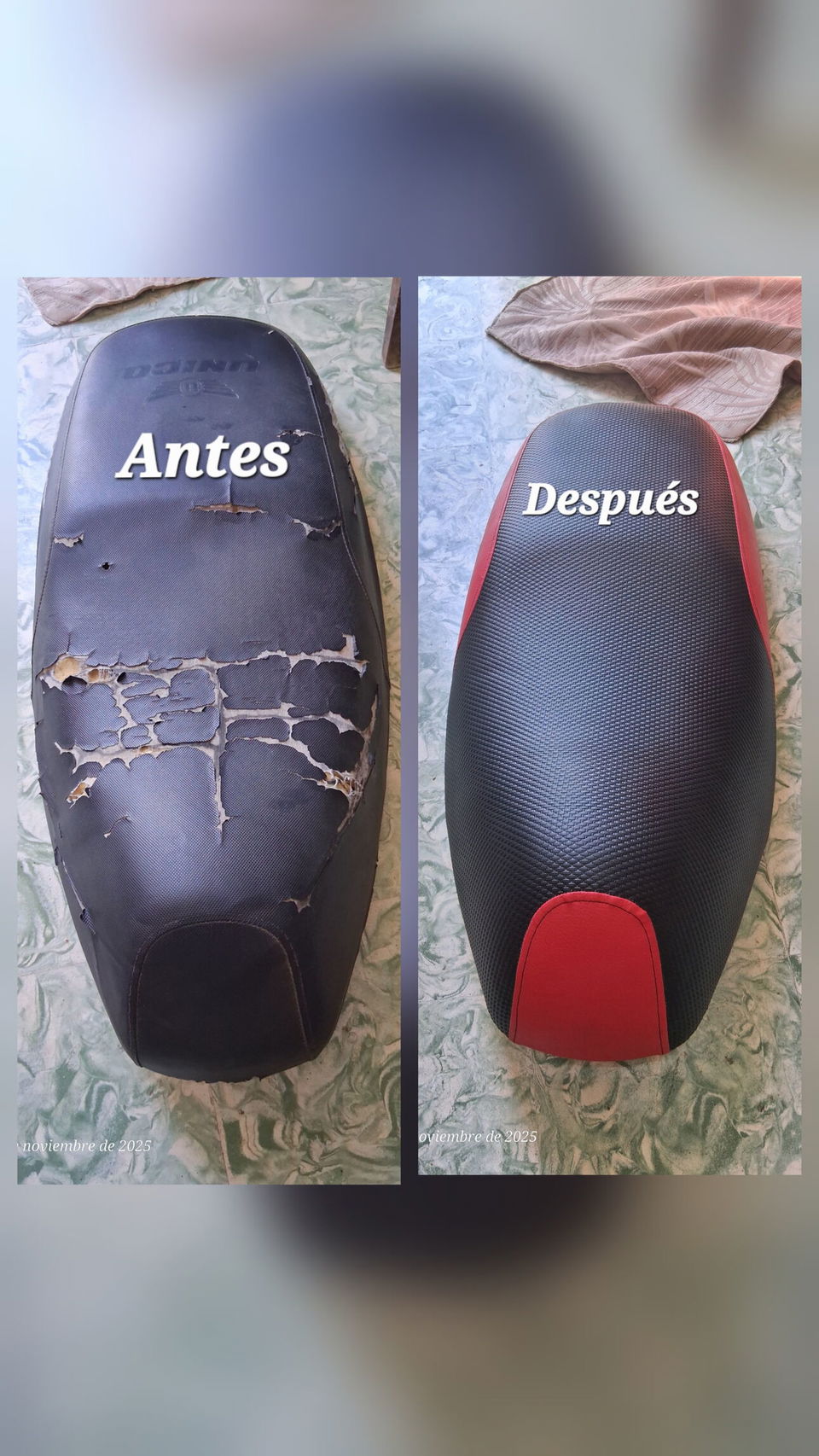 Trabajo 6