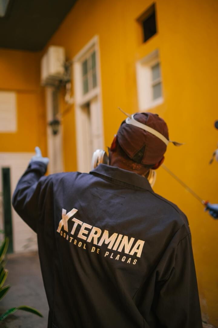 Trabajo 2
