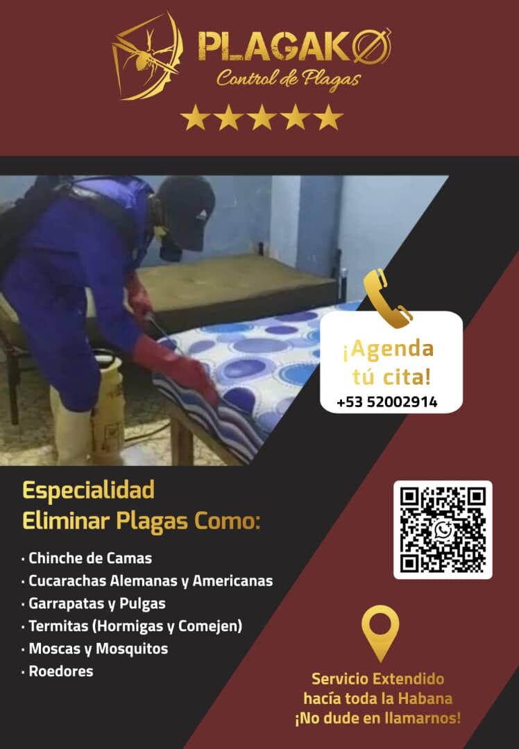 Portada de Servicio de Fumigación PlagaKØ