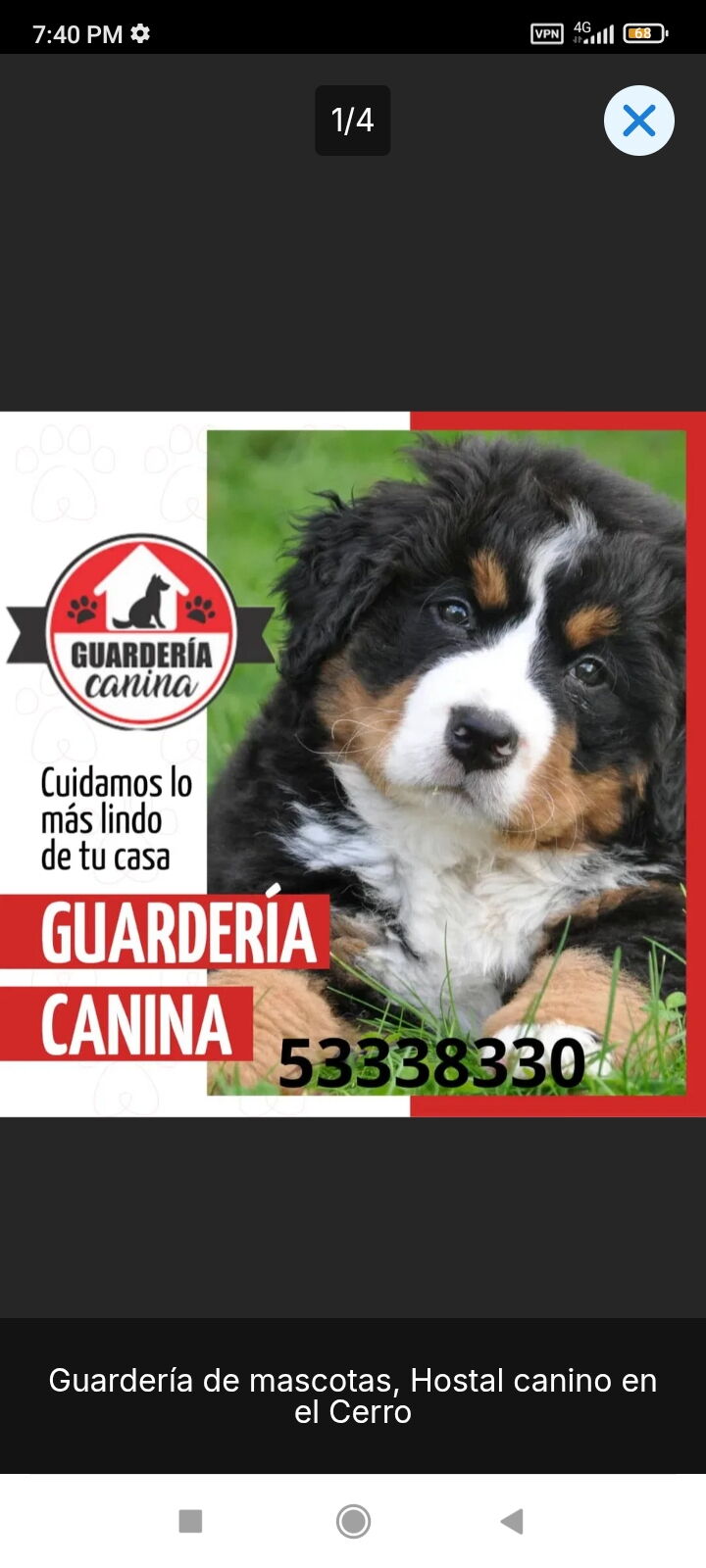 Portada de Guardería canina en El Cerro: cuidado profesional para tu perro