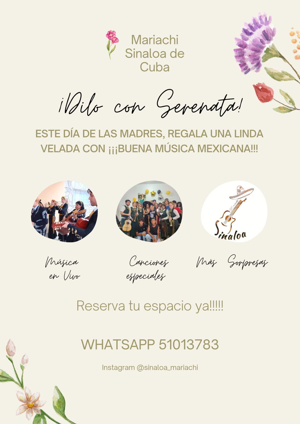 Portada de Mariachis para eventos: cumpleaños, bodas y serenatas
