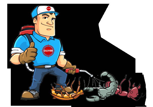 Portada de Exterminio de plagas en toda La Habana