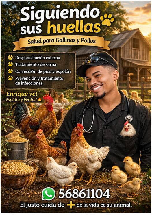 Portada de Veterinario especializado en aves de corral a domicilio