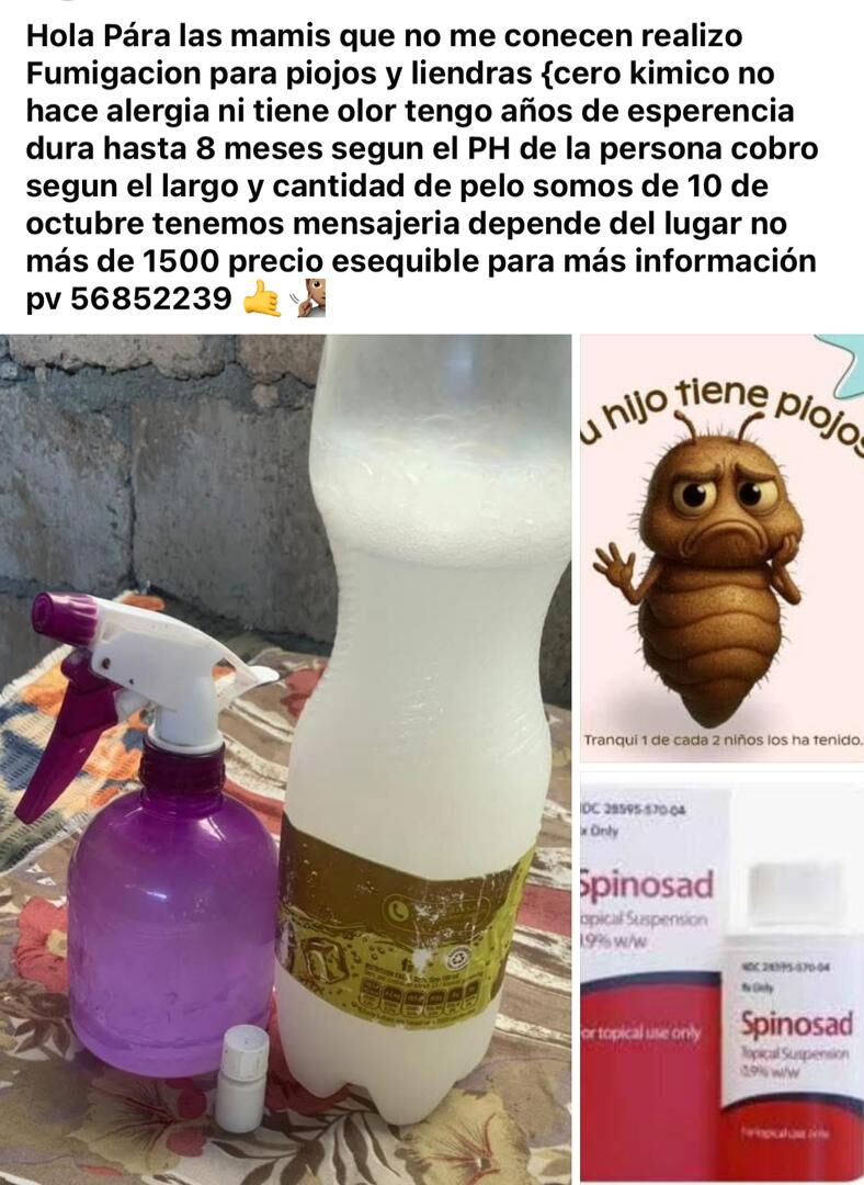 Portada de Fumigación contra piojos y liendras, sin químicos ni alergias