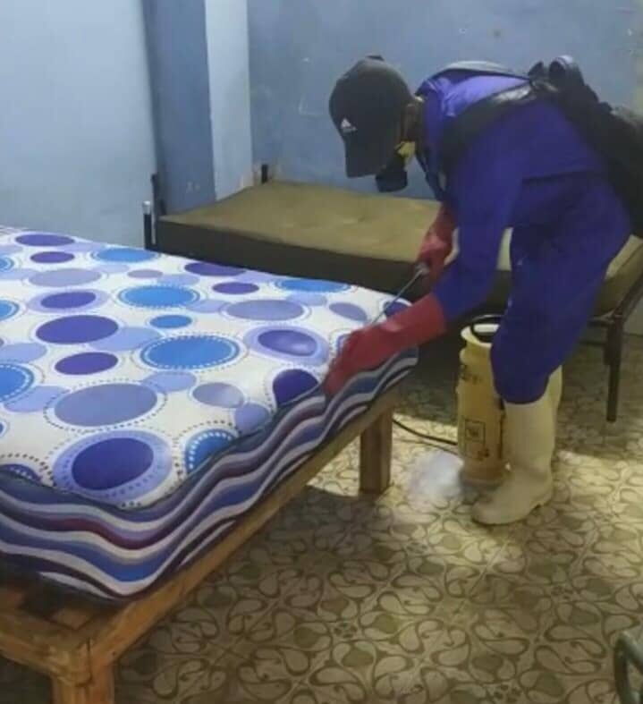 Portada de Fumigación en La Habana con calidad y garantía