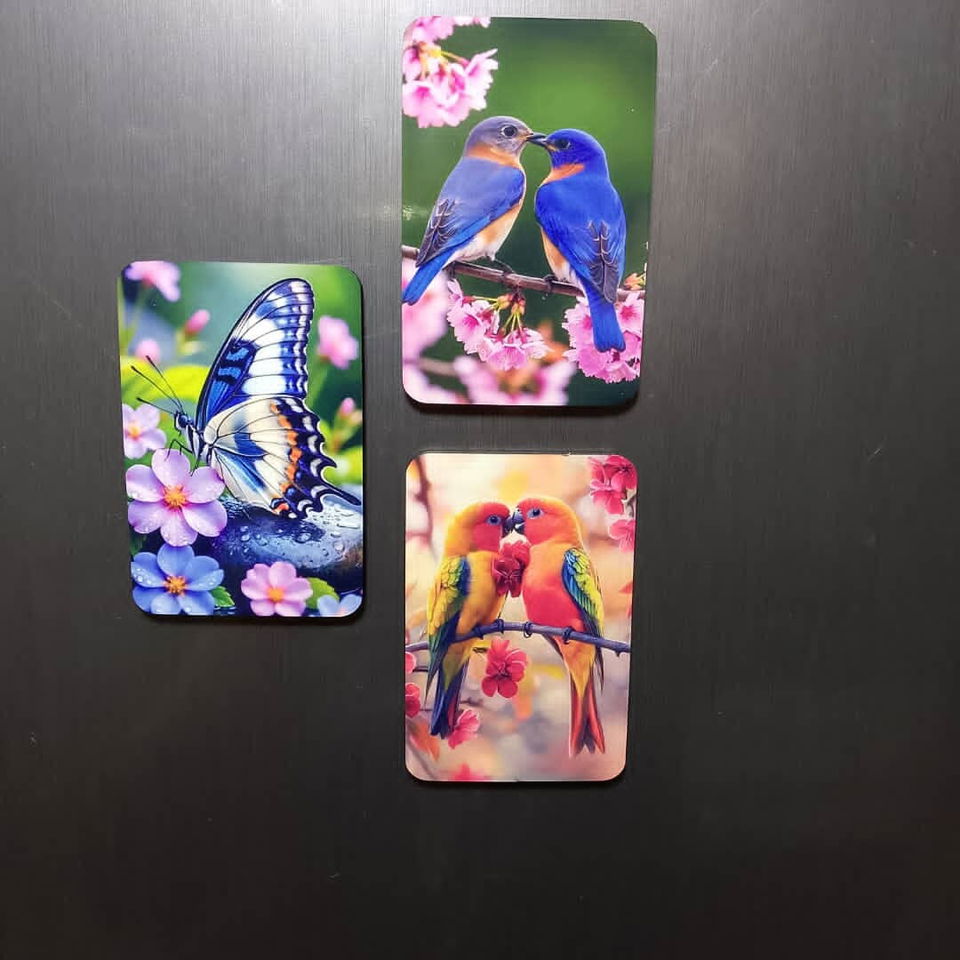 Trabajo 5
