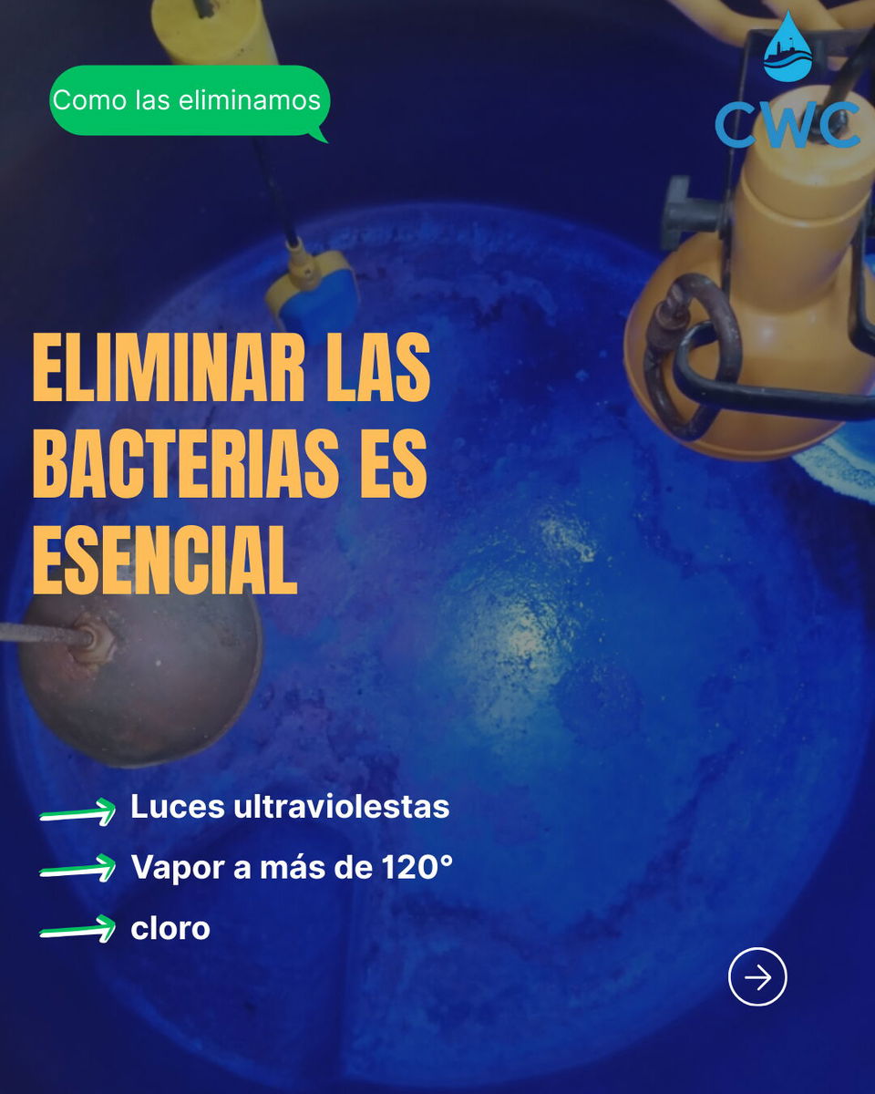 Trabajo 4
