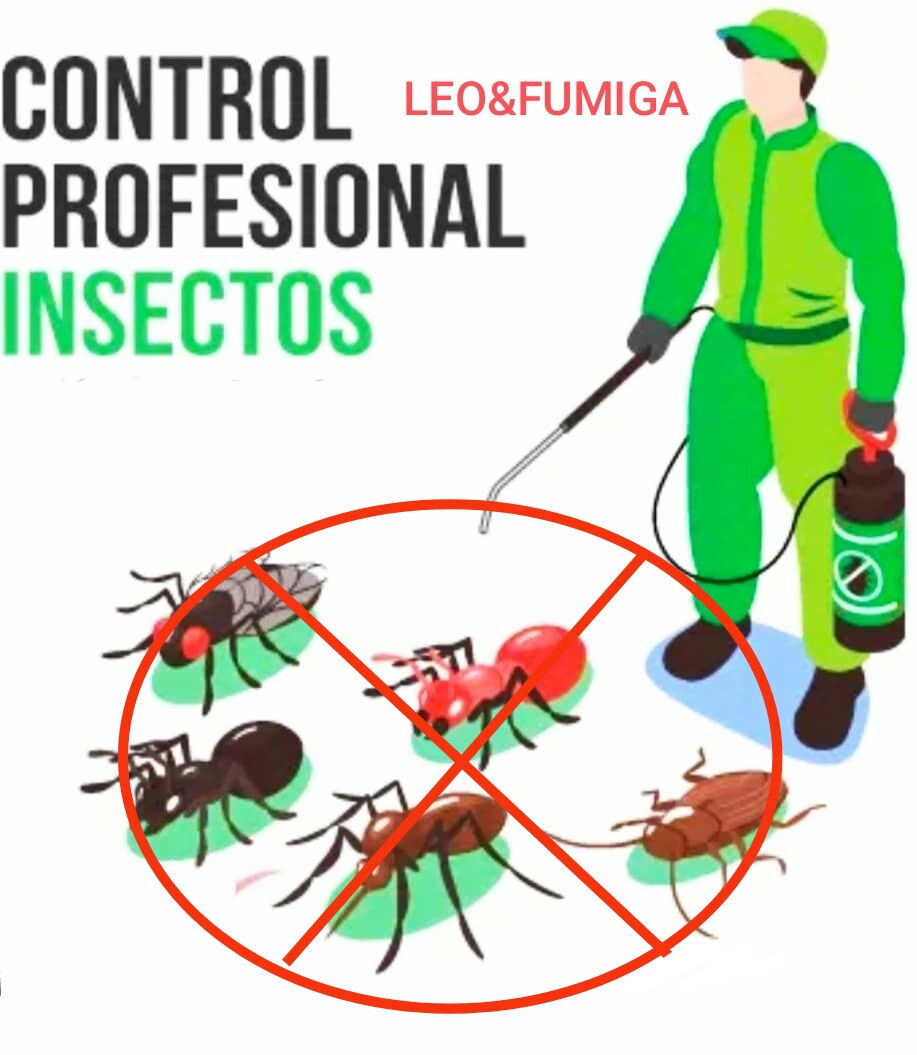 Portada de Fumigación a domicilio con productos importados de alta calidad