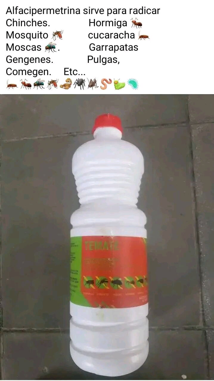 Trabajo 4