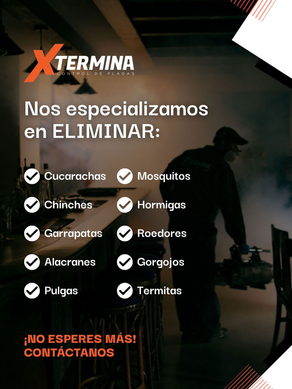Portada de Fumigación profesional de plagas en La Habana