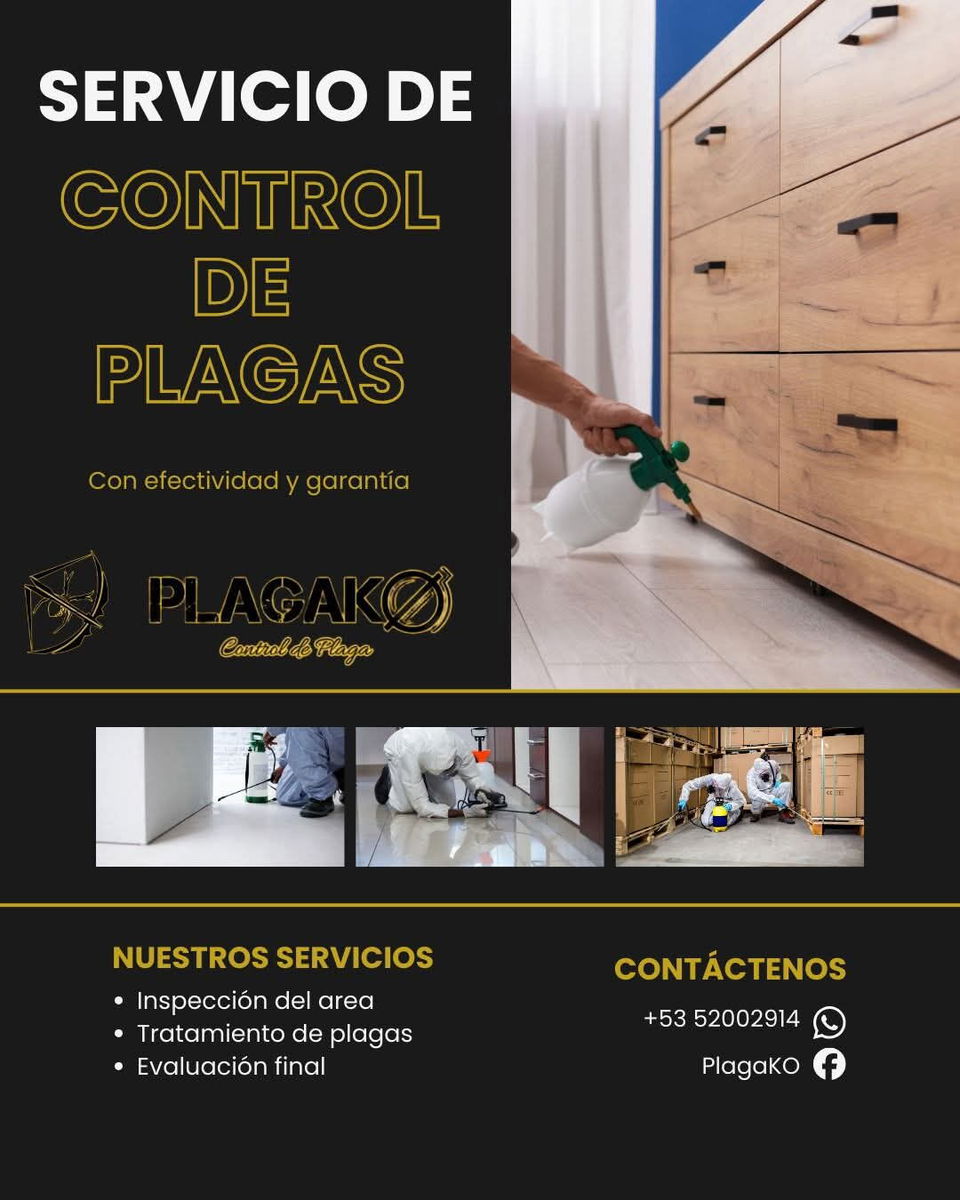 Trabajo 3