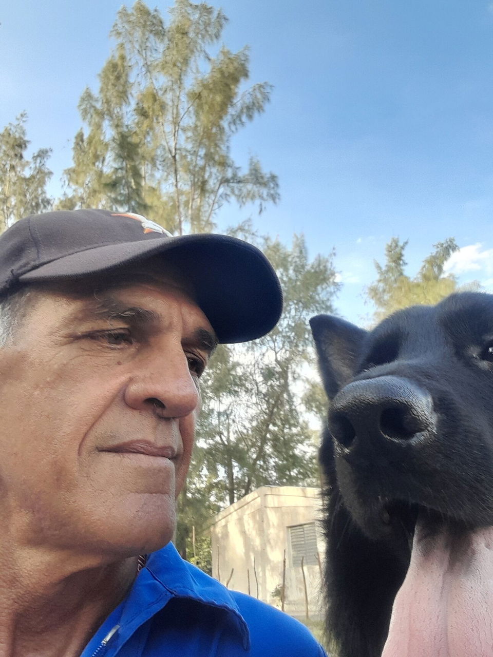 Portada de Entrenador de perros: obediencia, custodia y clases para amos