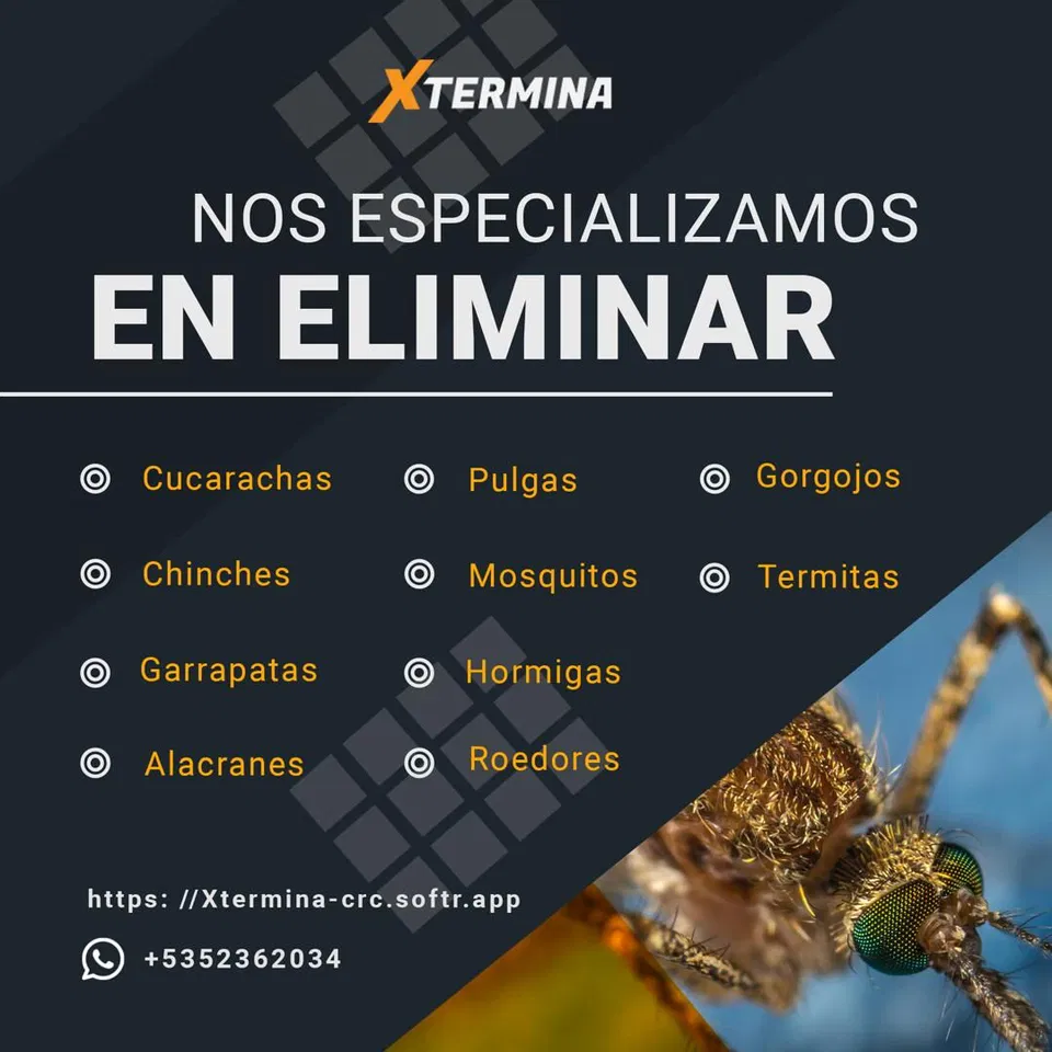 Trabajo 2