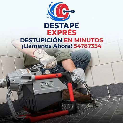 Trabajo 5
