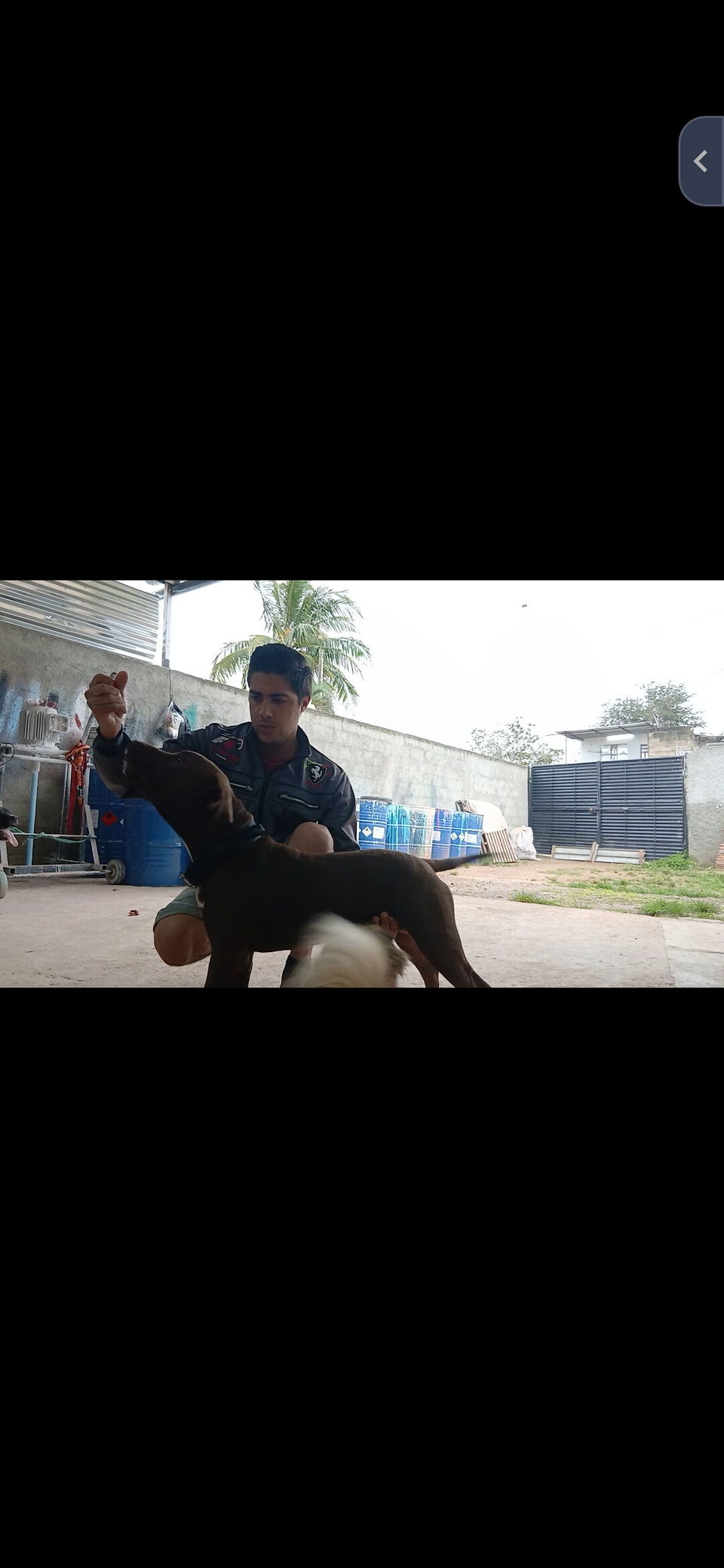 Trabajo 3