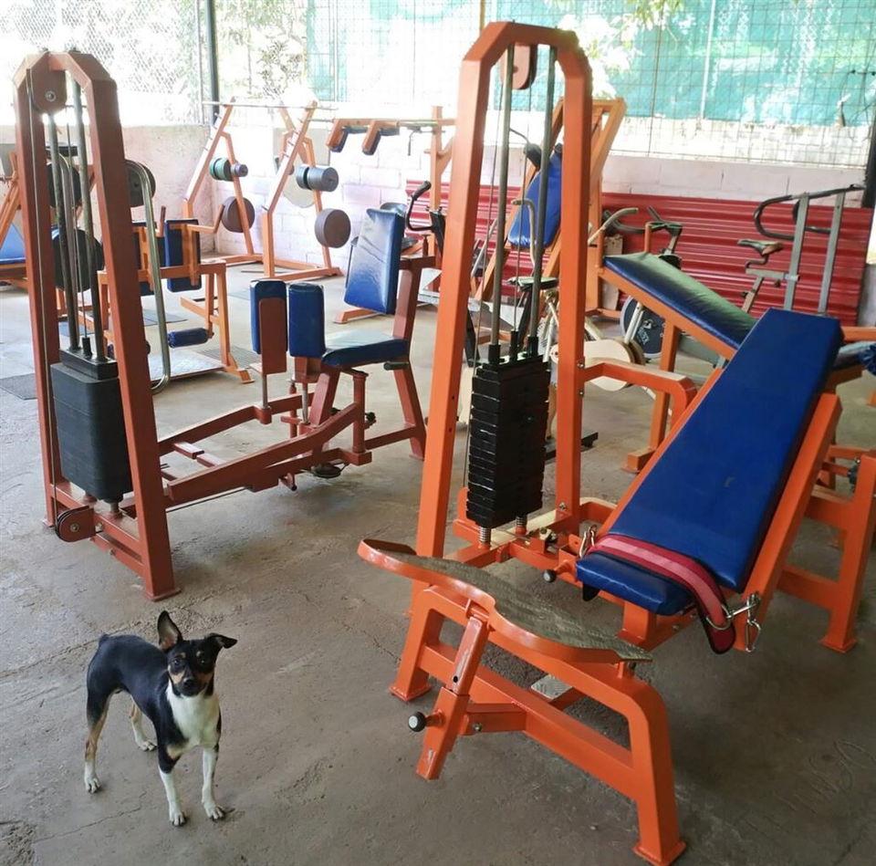 Portada de Gimnasio en Playa: pesas, aeróbicos, dance fit y calistenia