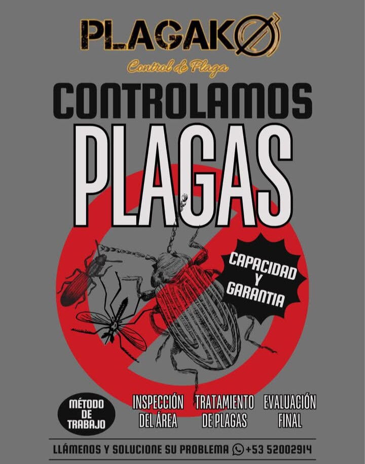 Portada de Fumigador profesional: control de plagas efectivo y seguro