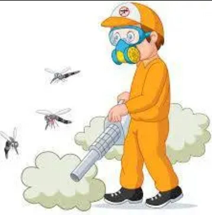 Portada de Fumigación profesional contra plagas en Centro Habana