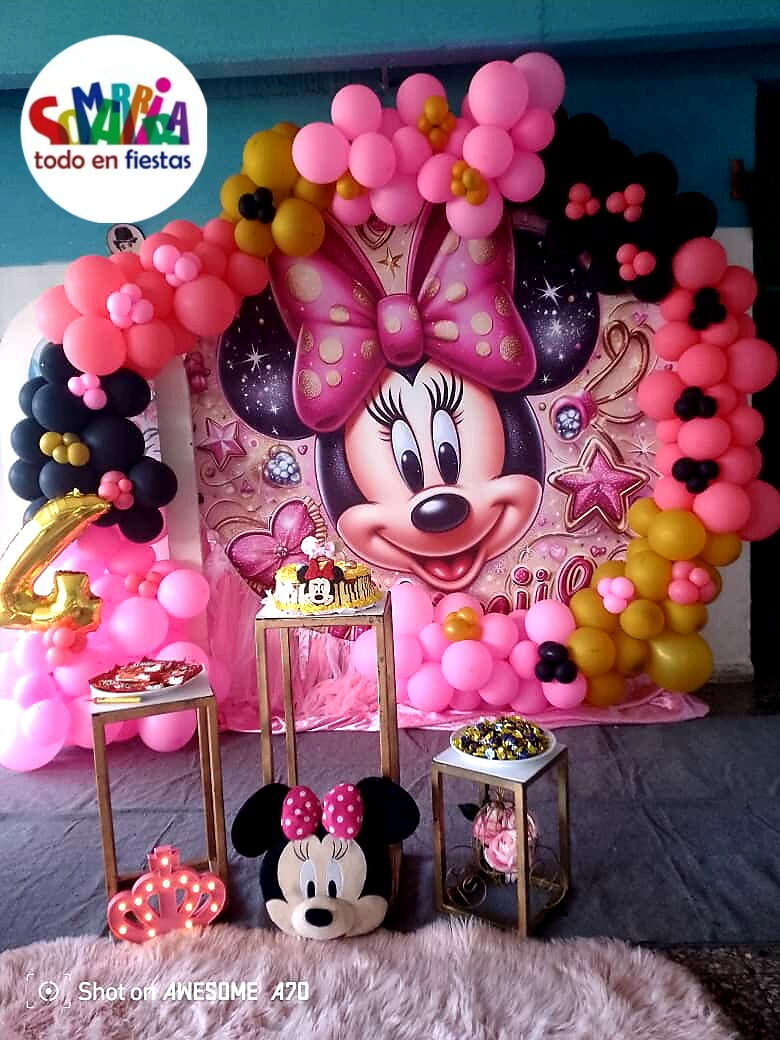 Portada de Organización de cumpleaños infantiles en La Habana