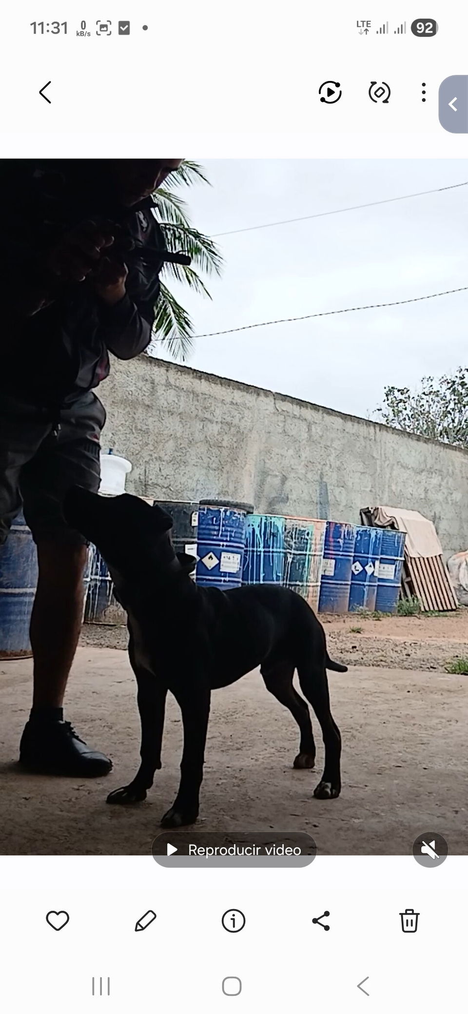 Trabajo 2
