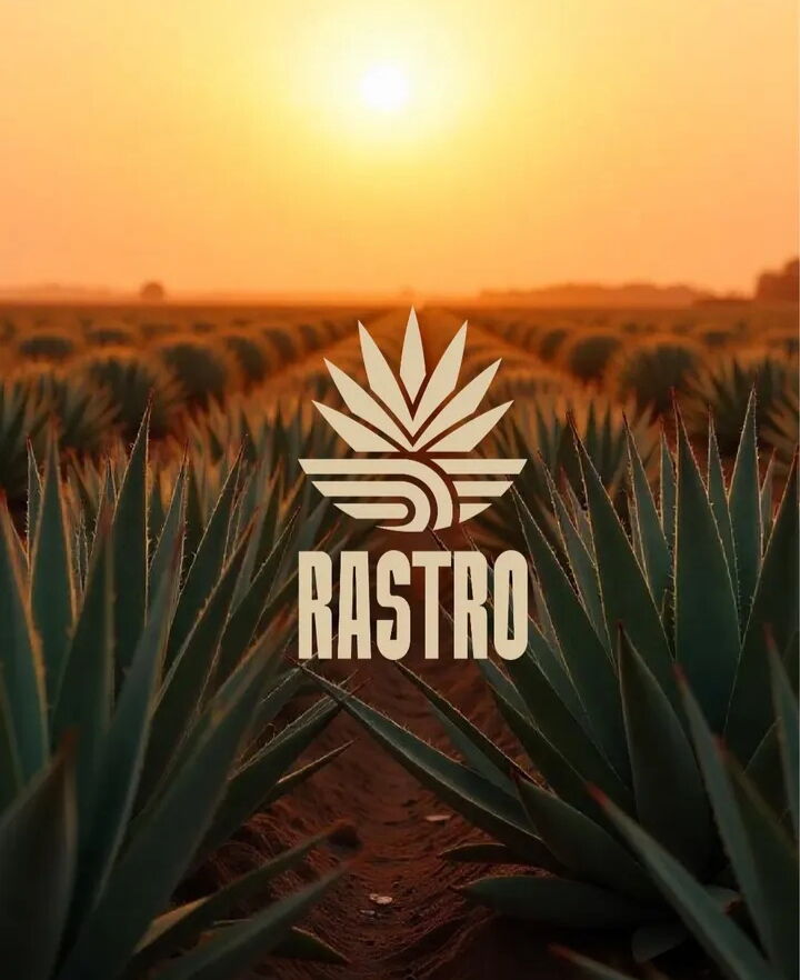 Trabajo 5