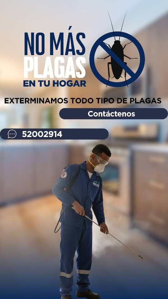Portada de Fumigación en La Habana: Control de Plagas Profesional